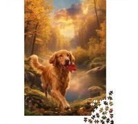 Puzzle Irish Setter 1000 Pezzi Per Bambini E Adulti, Allenamento Per La Mente,gioco Rilassante Puzzles Con Autumn Woods, Regalo Originale 52x38cm/1000pcs