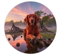 Puzzle Irish Setter 1000 Pezzi Per Bambini E Adulti, Gioco Di Squadra, Difficile Sfida Rompicapo Con Mangrove Forest, Regalo Per Adulti E Ragazzi 1000pcs (67.5x67.5cm)