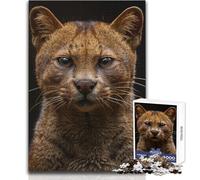 Puzzle Jaguarundi da 1000 pezzi per adolescenti, gioco di sviluppo del pensiero logico, ottimo regalo per momenti significativi, dimensioni 38x26cm
