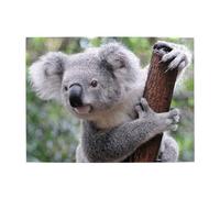 Puzzle Koala su ramo per adulti, 500 pezzi - Puzzle in legno per adulti e anziani