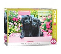 Puzzle - Labrador Neri In Una Scatola Rosa - 500 Pezzi