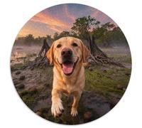 Puzzle Labrador Retriever 1000 Pezzi Per Bambini E Adulti, Allenamento Cerebrale Accessibile E Divertente Puzzles Con Mangrove Forest, Regalo Per Bambini E Adulti 1000pcs (67.5x67.5cm)