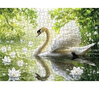 Puzzle lago cigno - Puzzle 3000 Pezzi per Adulti - Puzzles Giochi Rilassamento e Intelligence - Bene Confezionamento in Scatola - Stampa ad Alta Definizione - Puzzles Legno Impegnativi s7h-505