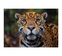 Puzzle Leopardo, Puzzle 1000 Pezzi Arte per Adulti, Regalo Uomo/Donna -4417 | Legno, Spessore 2 mm, Giochi per Famiglie, con Scatola e Poster, Accessori Completi, Decorazioni Casa, Dimensioni: 70x50cm