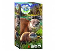 Puzzle - Lontra - 250 Pezzi