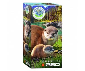 Puzzle - Lontra - 250 Pezzi
