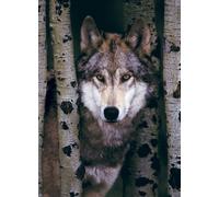 Puzzle Lupo Grigio di EUROGRAPHICS - 1000 pezzi