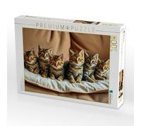 Puzzle · Meravigliosi Main Coons | Un lancio di gatti, 1000 pezzi, dimensioni da sdraiato 64 × 48 cm, puzzle CALVENDO
