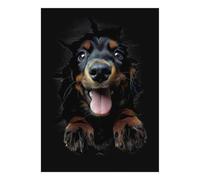 Puzzle Mini 1000 pezzi per cani per adulti | 52x38cm Carta, Decorazione della camera, Taglio preciso, Regalo di incontro, Relax mentale