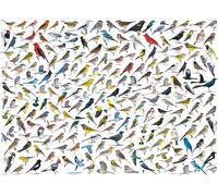 Puzzle 'Mondo degli Uccelli' 1000 pezzi da EUROGRAPHICS