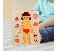 Puzzle Montessori Corpo umano in età prescolare Gioco Consapevolezza degli