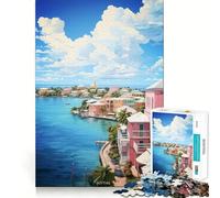 Puzzle NASSAU con dipinti ad olio per ragazzi, 1000 pezzi, rafforza la memoria, allevia la tensione, bordi lisci, sorpresa di Natale (38x26cm)