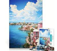 Puzzle NASSAU con dipinto ad olio per ragazzi, 1000 pezzi, gioco mentale, svago divertente, taglio di alta qualità, regalo pensato con cura (38x52cm)