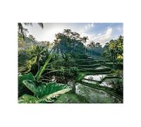 PUZZLE NATHAN Au cœur de Bali - 2000 Pezzi in Cartone per 12+ - Tema: Bali