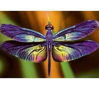 Puzzle Natura Colorata: Libellula 250 pezzi