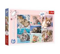 Puzzle Nel mondo dei gatti 100 pezzi Trefl