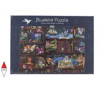 PUZZLE OGGETTI BLUEBIRD LIBRERIA LIBRARY ADVENTURES IN READING 3000 PZ