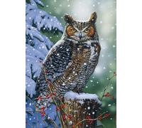 Puzzle Osservatore silenzioso 500 pezzi ALIPSON