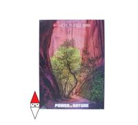 PUZZLE PAESAGGI HEYE ALBERI SINGING CANYON NEWS 1000 PZ