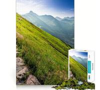 Puzzle paesaggistico con sentiero di montagna per adulti, 1000 pezzi, Logic Boost Toy Group, Joy Premium Edge, sorpresa di compleanno (50x75cm)
