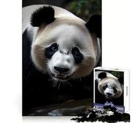 Puzzle Panda Natura da 1000 pezzi per adulti, gioco di concentrazione e divertimento tranquillo con bordi netti, ideale come regalo di Babbo Natale (38x52cm)