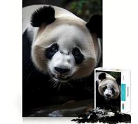 Puzzle Panda Natura da 1000 pezzi per adulti, gioco di concentrazione e divertimento tranquillo con bordi netti, ideale come regalo di Babbo Natale (38x52cm)