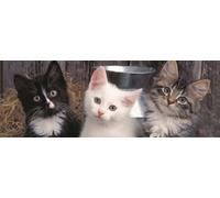 Puzzle Panoramici Tre Gattini 150 Pezzi