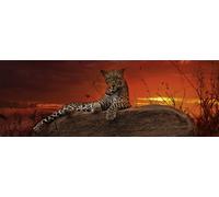 Puzzle panoramico Alba in Kenya 2000 pezzi