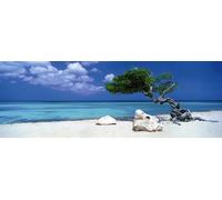 Puzzle panoramico Divi Divi tree ad Aruba 1000 pezzi HEYE