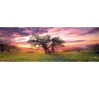 Puzzle panoramico Dub Columbia Hills State Park 2000 pezzi