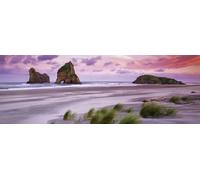 Puzzle panoramico Spiaggia Wharariki 1000 pezzi