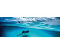 Puzzle panoramico Razza (Isole Cayman) 1000 pezzi