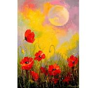Puzzle Enjoy Campo di Papaveri al Chiaro di Luna 1000 Pezzi