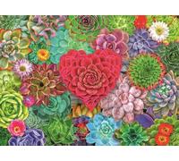 Puzzle Paradiso Succulento 500 pezzi