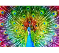 Puzzle Pavone Colorato 1000 Pezzi