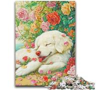 Puzzle per adolescenti 1000 Golden Retriever felici per età 14 anni e oltre Giochi per famiglie Regali di Natale per donne 26x38cm