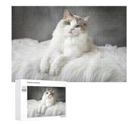 Puzzle Per Adolescenti 1000 PCS Puzzle Fluffy White Cat on Soft Blanket Puzzle Per Adulti Giocattoli Antistress Sfida Difficile Regali Unici Per Compleanno 1000 PCS