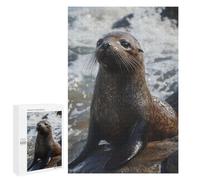 Puzzle Per Adolescenti 1000 PCS Sea Lion on Rocks Puzzle Per Adulti Gioco Rompicapo Difficile Difficile Unico Compleanno E Regali 1000 PCS