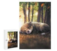 Puzzle Per Adolescenti 1000 PCS The Sleeping Fox Cub Puzzle Giochi Rilassanti Decorazione Per La Casa Regali Unici Per Compleanno 1000 PCS