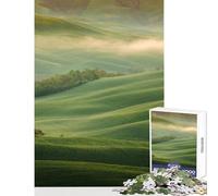 Puzzle per adolescenti 1000 pezzi Campo Italia Toscana Primavera Decorazione per la casa Giocattoli Regalo divertente Gioco pratico Interessante Riduzione dello stress Dimensioni 50x75cm