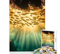 Puzzle per adolescenti 1000 pezzi Luce solare subacquea e banco di pesci Giocattolo educativo Ottimo regalo per giochi Giochi per famiglie Allena il tuo cervello e le tue mani Dimensioni 50x75cm
