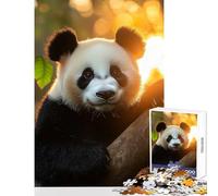 Puzzle per adolescenti 1000 pezzi Panda nella luce dorata Giocattoli fai da te Ottimi regali e giocattoli Giochi per famiglie Migliorare l'amore tra coppie Dimensioni 38x52cm