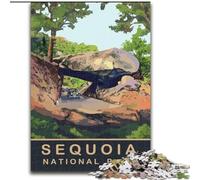 Puzzle per adolescenti 1000 puzzle Auto sotto l'arco di roccia, adatti a persone dai 14 anni in su, giochi educativi, regali di Babbo Natale segreto, 50x75cm