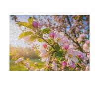 Puzzle Per Adolescenti 1000pcs(38x26cm) Apple Blossoms in Spring Sunlight Puzzle Per Adulti Gioco Per Famiglie Decorazione Perfetta Regali Di Natale E Compleanno 1000pcs(38x26cm)