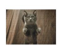 Puzzle Per Adolescenti 1000pcs(38x26cm) Curious Grey Cat Puzzle Per Adulti Gioco Pratico Vacanza A Casa Passatempo Compleanno E Regali Unici 1000pcs(38x26cm)