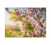Puzzle Per Adolescenti 1000pcs(52x38cm) Apple Blossoms in Spring Sunlight Puzzle Per Adulti Giocattoli Antistress Un'opera D'arte Aiuta L'esercizio Del Cervello 1000pcs(52x38cm)