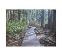 Puzzle Per Adolescenti 1000pcs(52x38cm) Path to The Forest Canada Puzzle Per Adulti Gioco Pratico Vacanza A Casa Passatempo Compleanno E Regali Unici 1000pcs(52x38cm)
