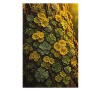 Puzzle Per Adolescenti 1000pcs(75x50cm) Lichen on Tree Bark Puzzle Per Adulti Gioco Pratico Regalo Per Donne Aiuta L'esercizio Del Cervello 1000pcs(75x50cm)