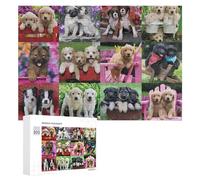 Puzzle Per Adolescenti 300 PCS Cute Puppies Garden Basket Puzzle Divertenti Da Assemblare, Modelli, Regali Unici Per Compleanno E Natale 300 PCS