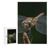 Puzzle Per Adolescenti 300 PCS Dragonfly Close-Up on Twig Puzzle Per Adulti Gioco Rompicapo Difficile Difficile Unico Compleanno E Regali 300 PCS